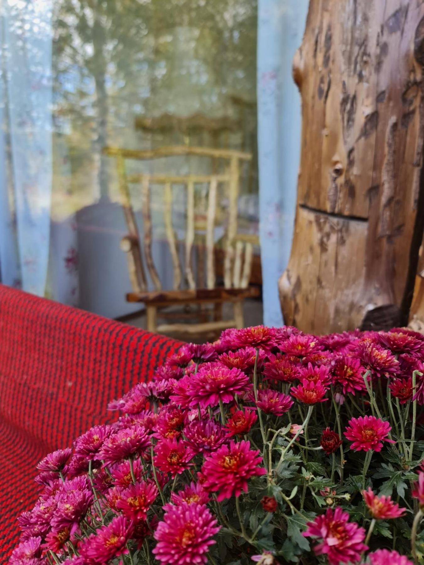 Ethno Village Montenegro Brezna Plužine Esterno foto